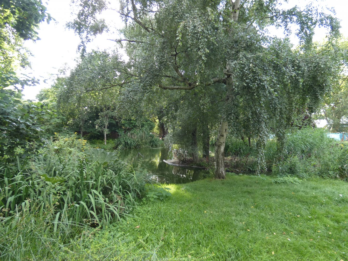 Flamingo and Pelican enclosure