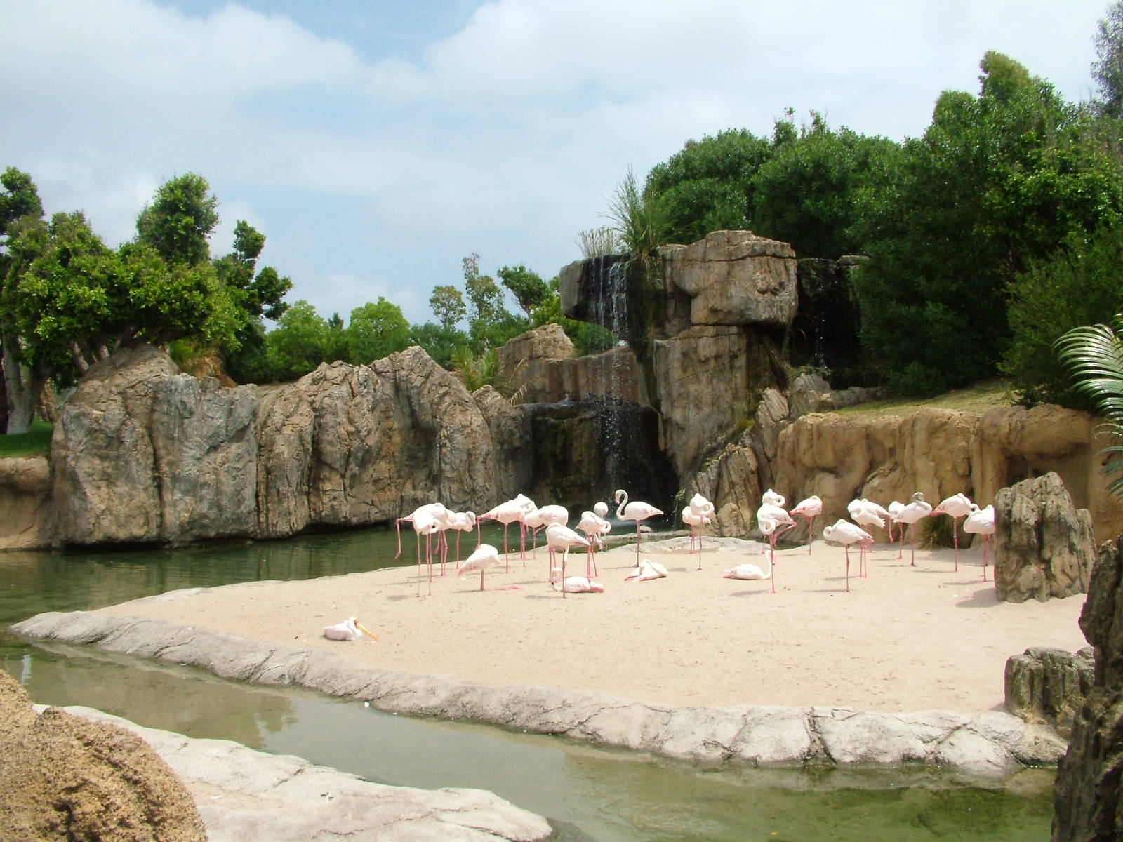 Flamingo and Stork Exhibit at Bioparc Valencia, 28/05/11