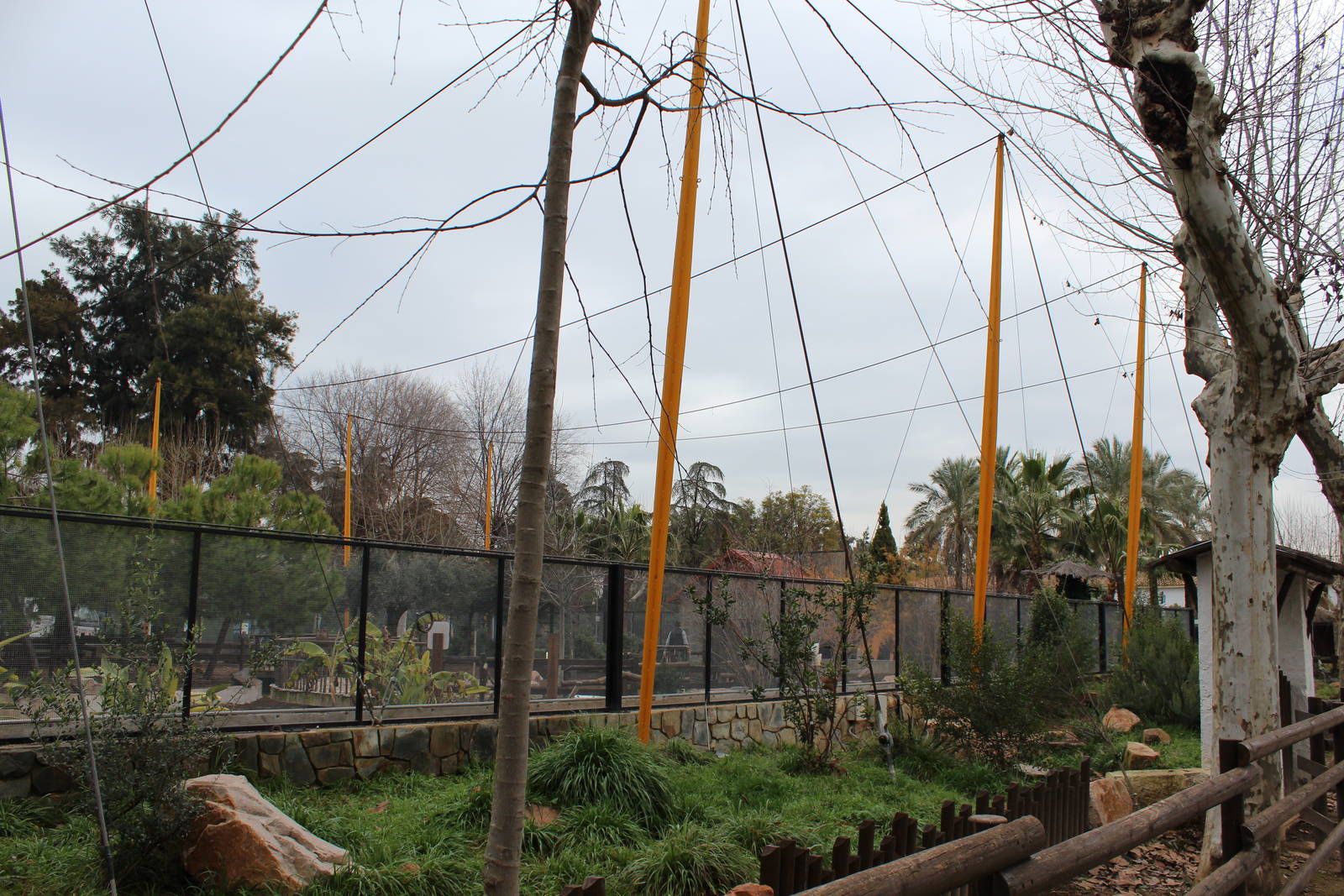 Flamingo and Waders Aviary - Jan 2014