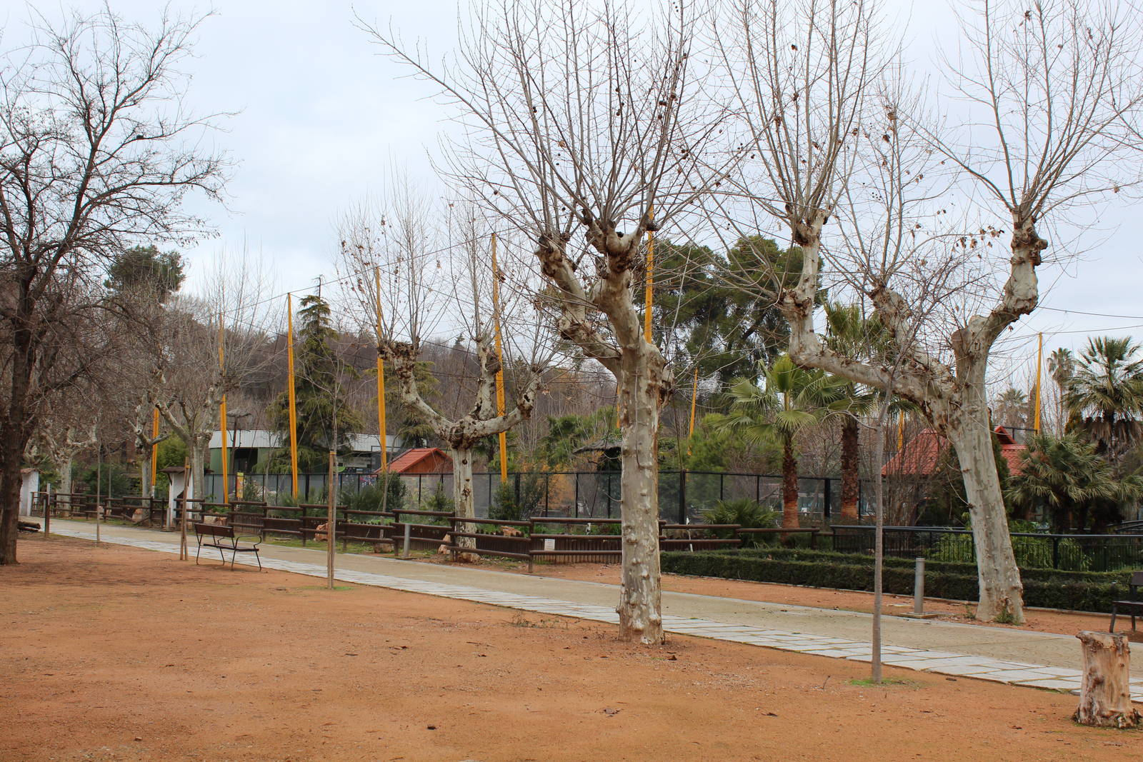 Flamingo and Waders Aviary