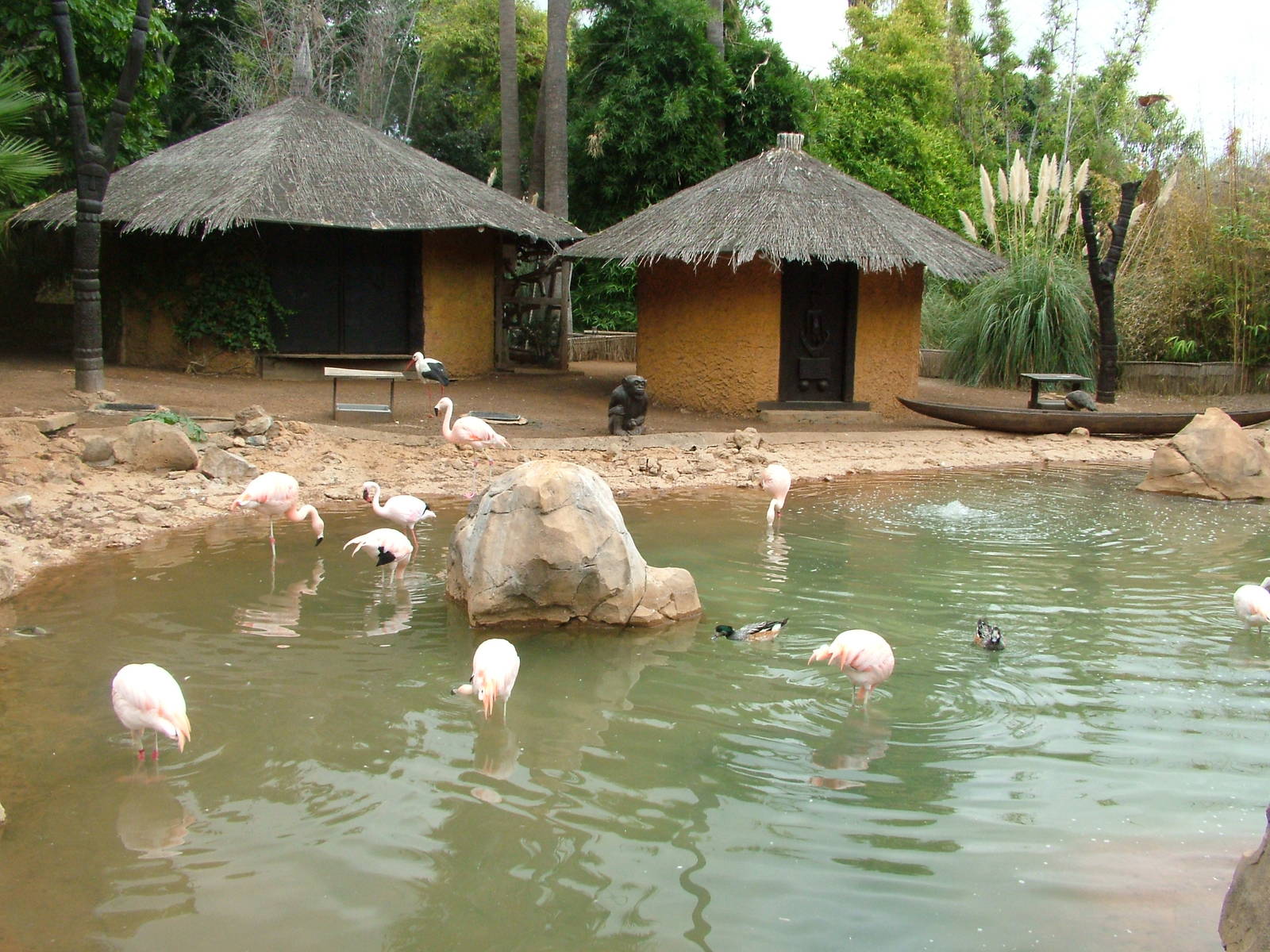 Flamingo and Waterfowl Exhibit at Jungle Park (Las Aguilas), 13/11/10