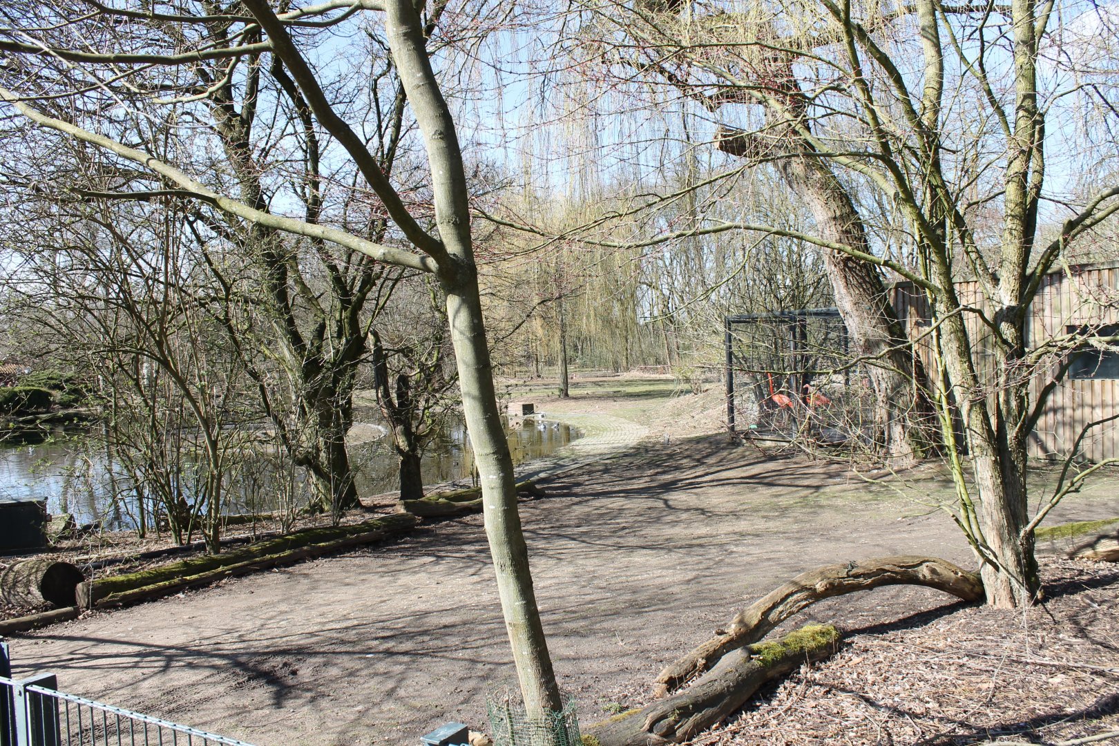 Flamingo and waterfowl-pond
