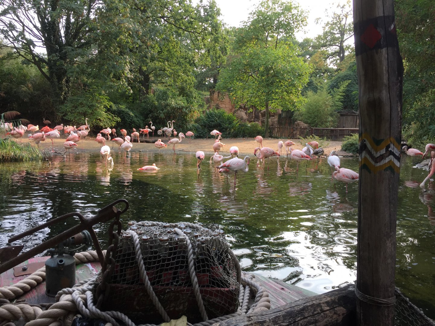 Flamingo area from boat ride