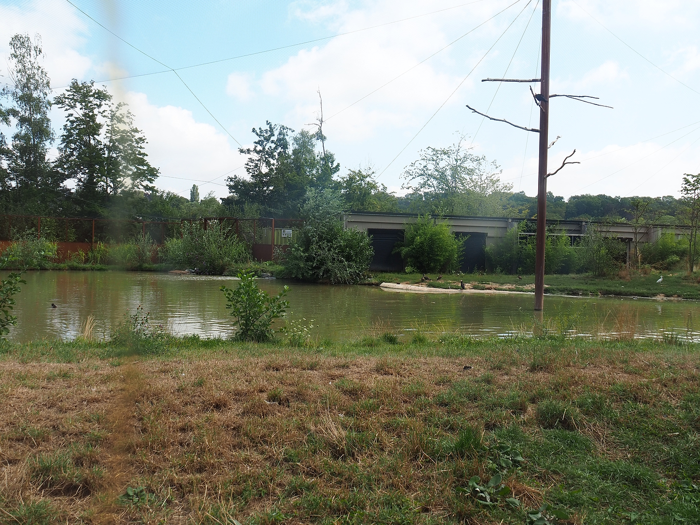 Flamingo aviary, 2022-08-20