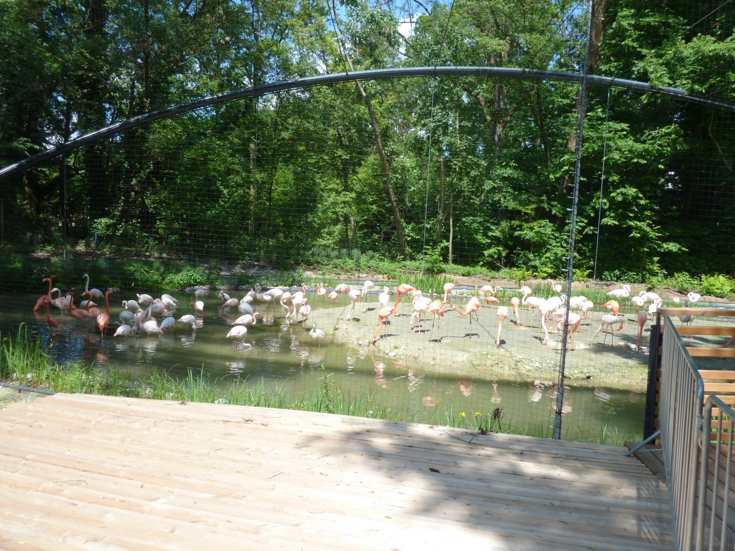 Flamingo aviary at main entrance
