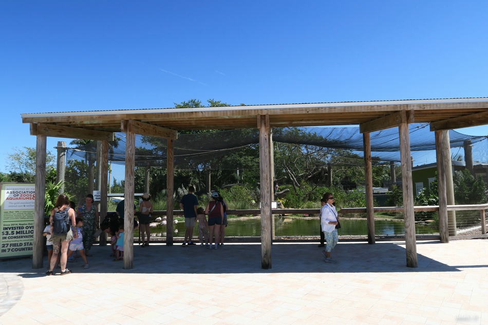 Flamingo aviary at the entrance