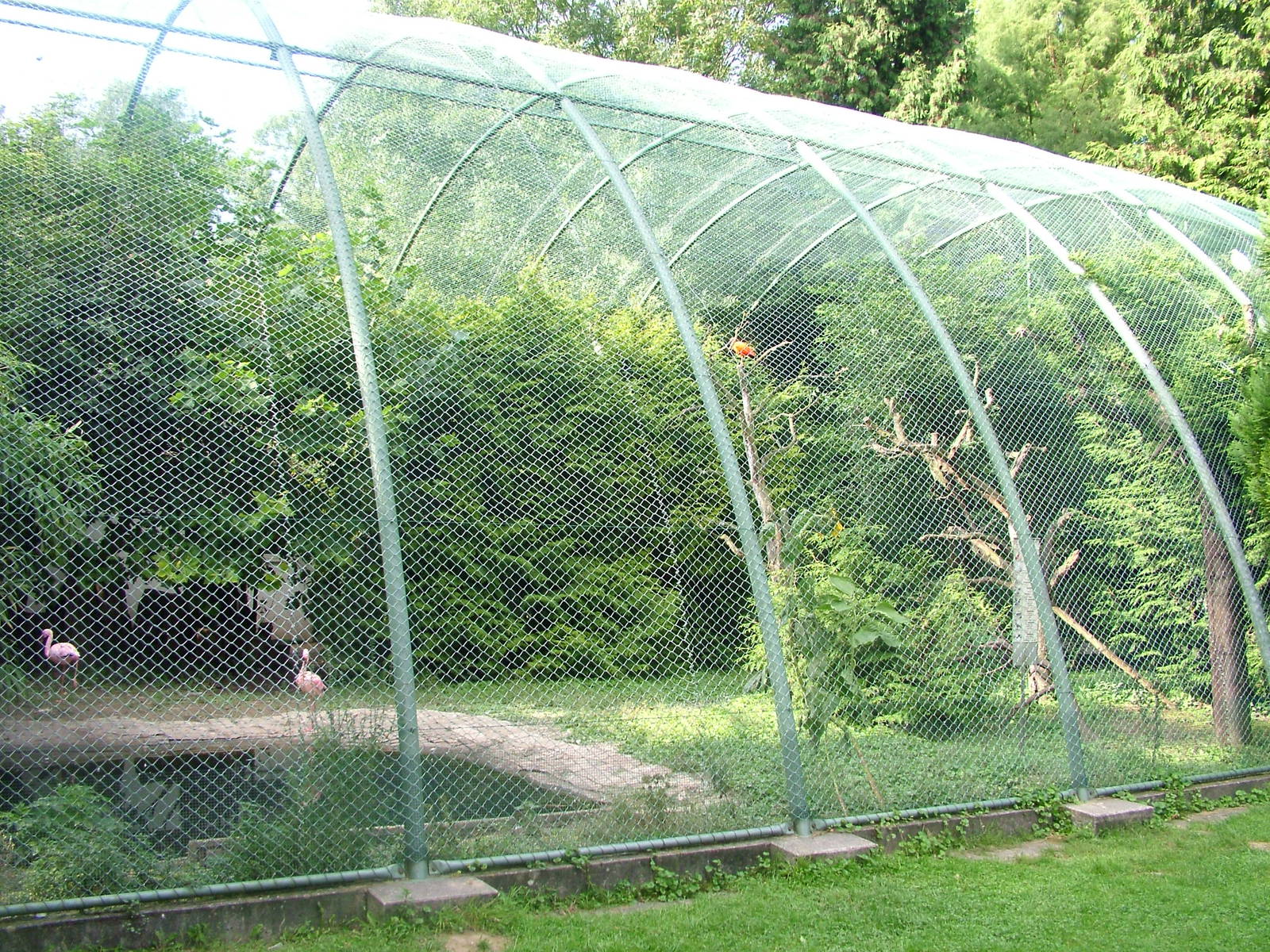 Flamingo Aviary at Vogelpark Leopoldshafen, 03/09/10