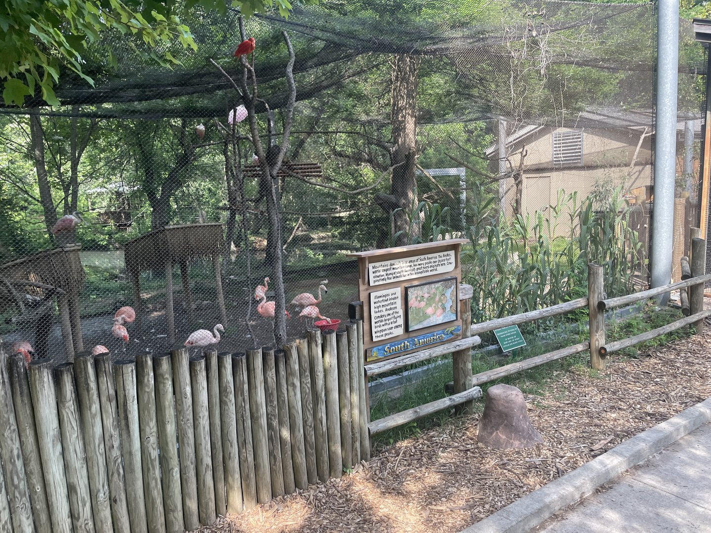 Flamingo Aviary Exterior- 2023