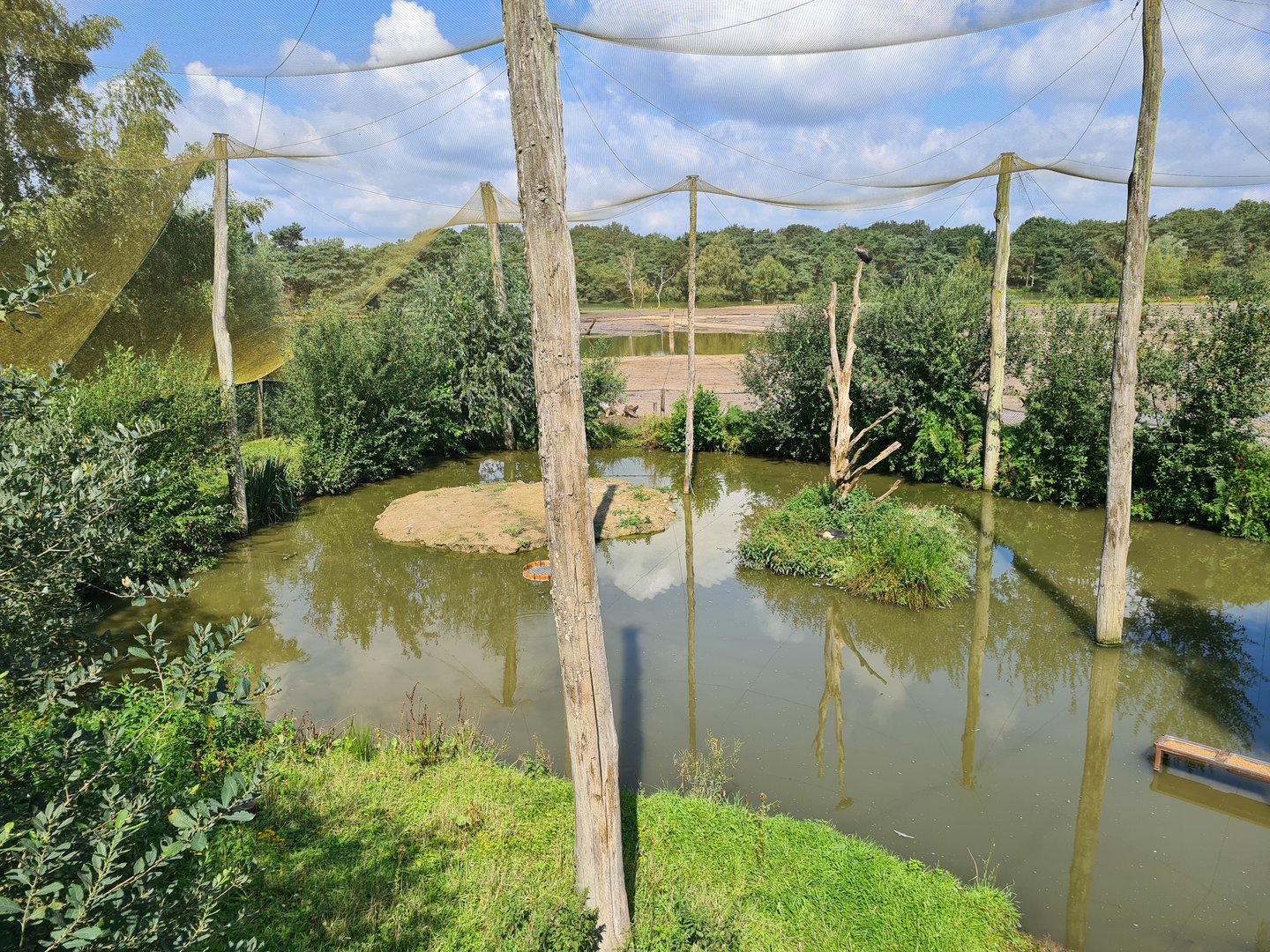 Flamingo aviary left side