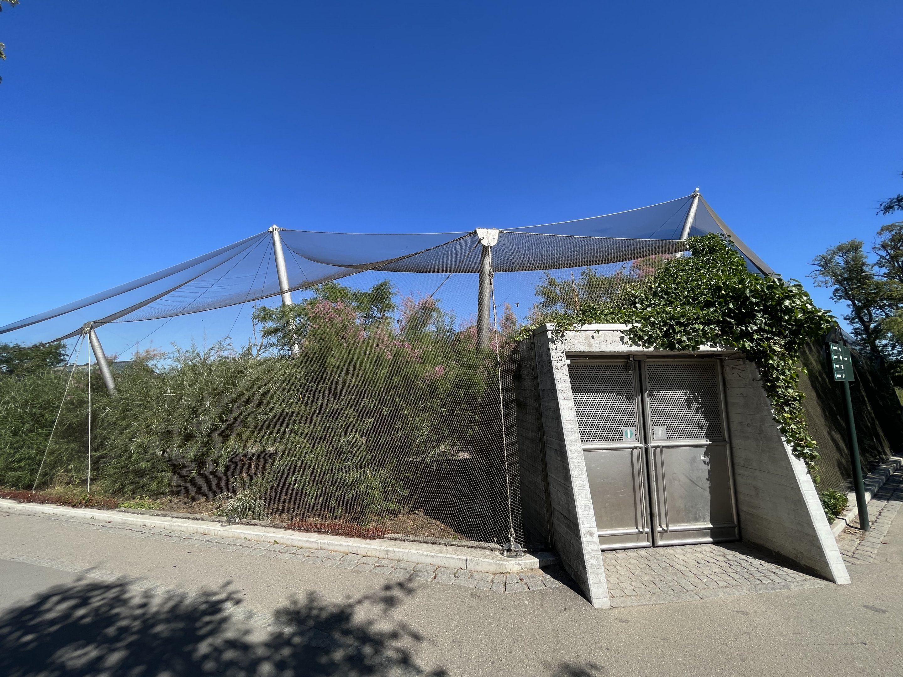 Flamingo Aviary - nice!