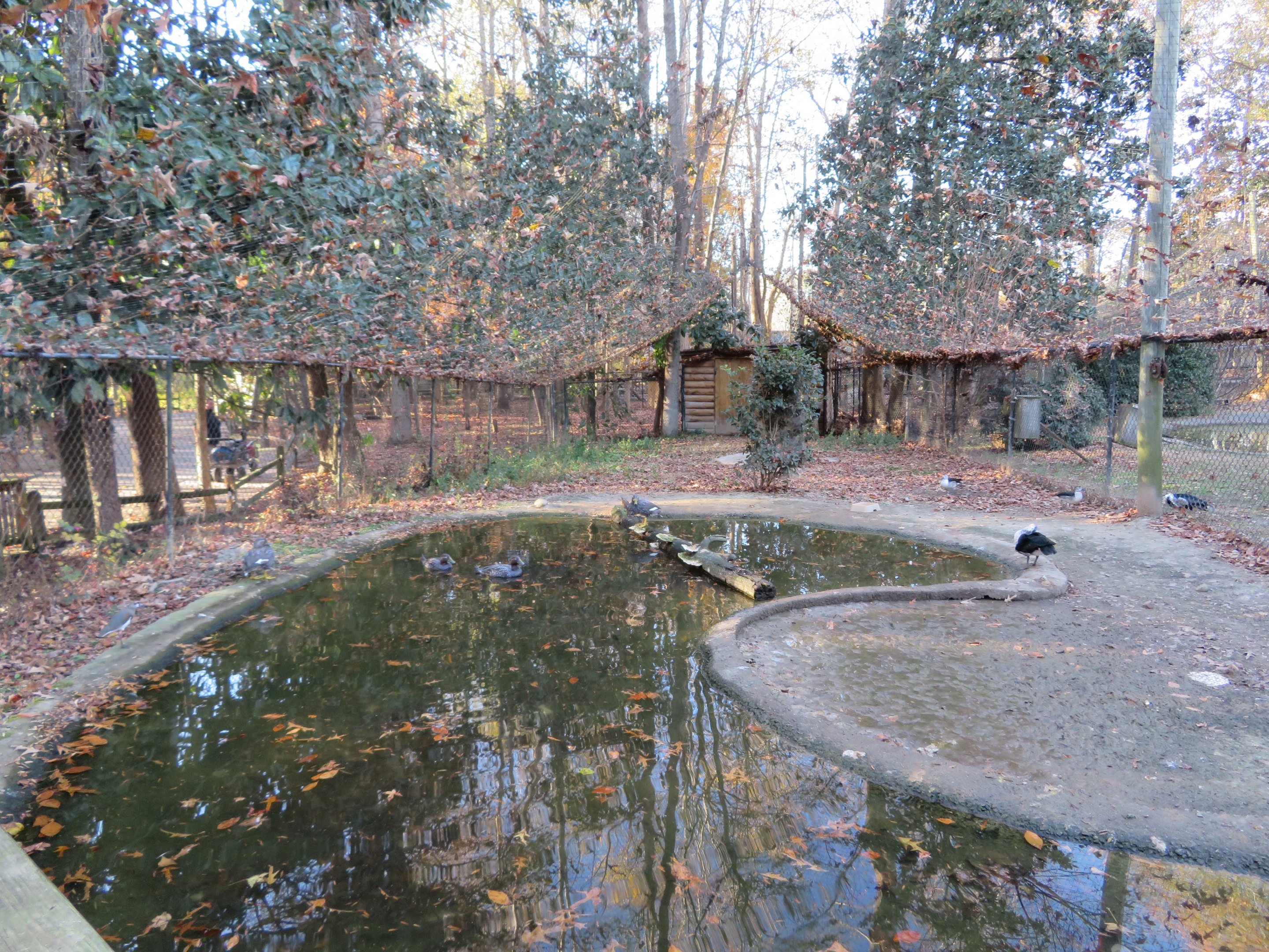 Flamingo Aviary (No Flamingos)