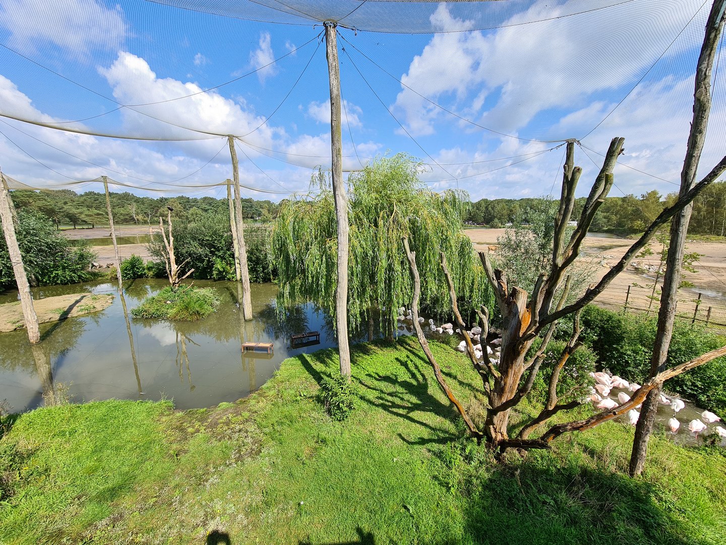 Flamingo aviary overview