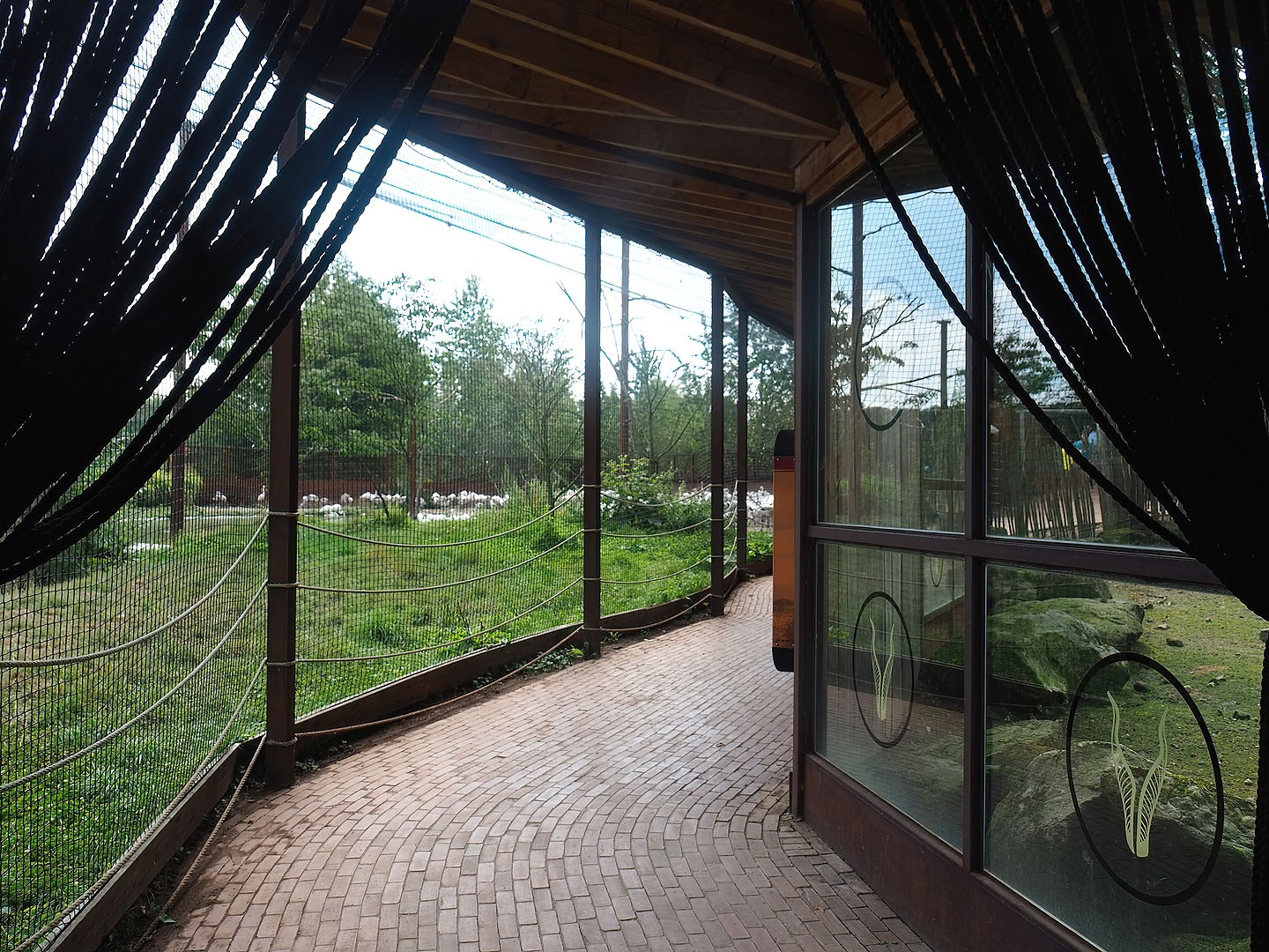 Flamingo aviary viewing area, 2022-08-20