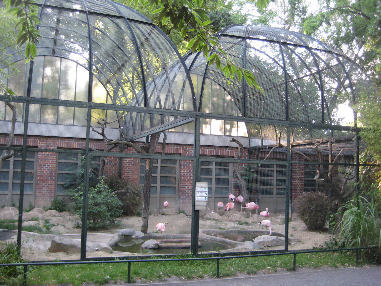 Flamingo aviary