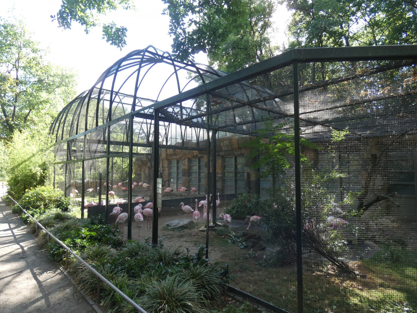 Flamingo Aviary