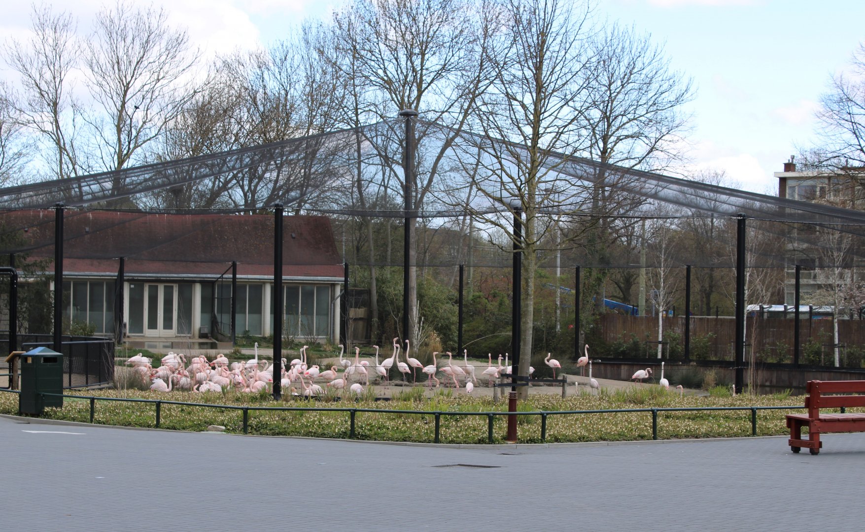 Flamingo-aviary