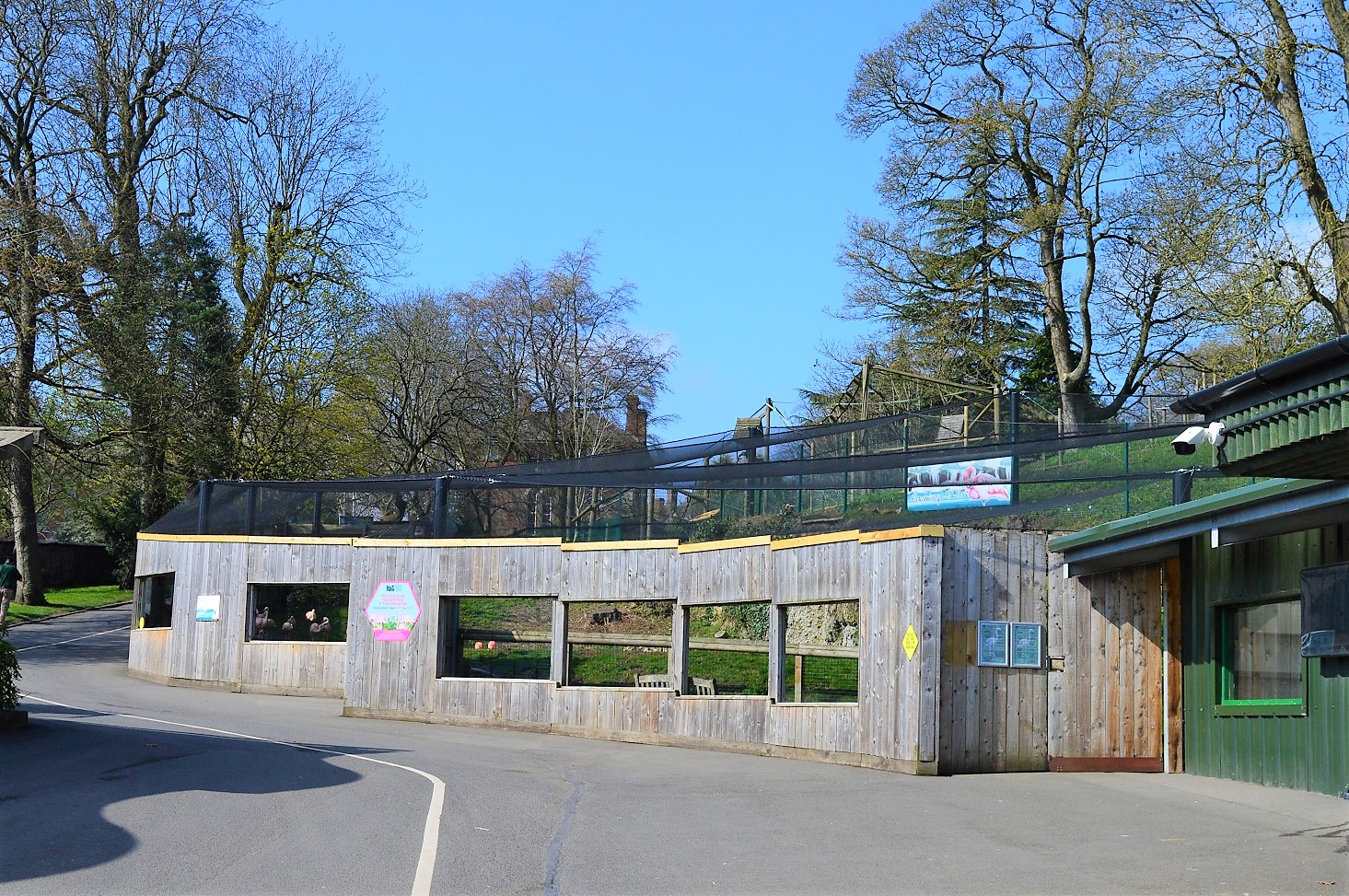 Flamingo aviary