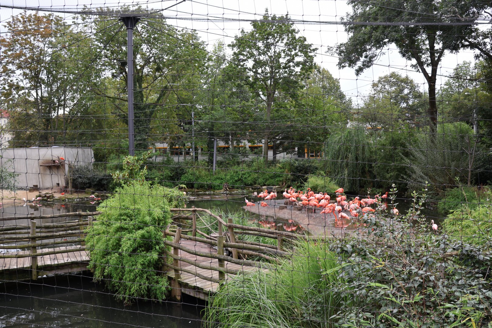 Flamingo aviary