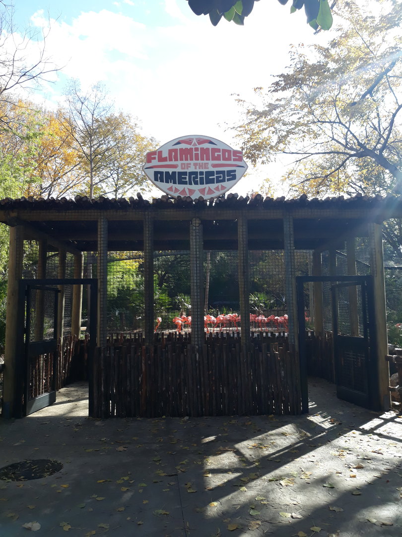 Flamingo Bay reopened