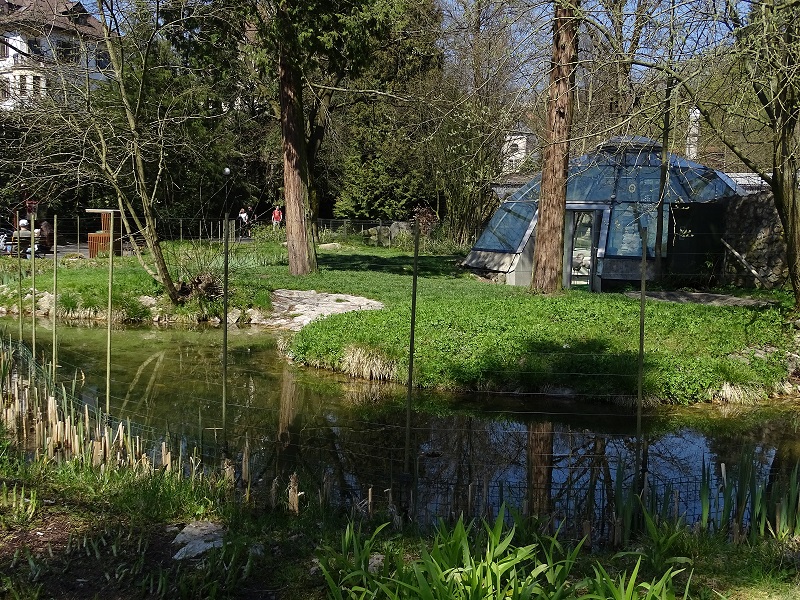 Flamingo enclosure (04/23)