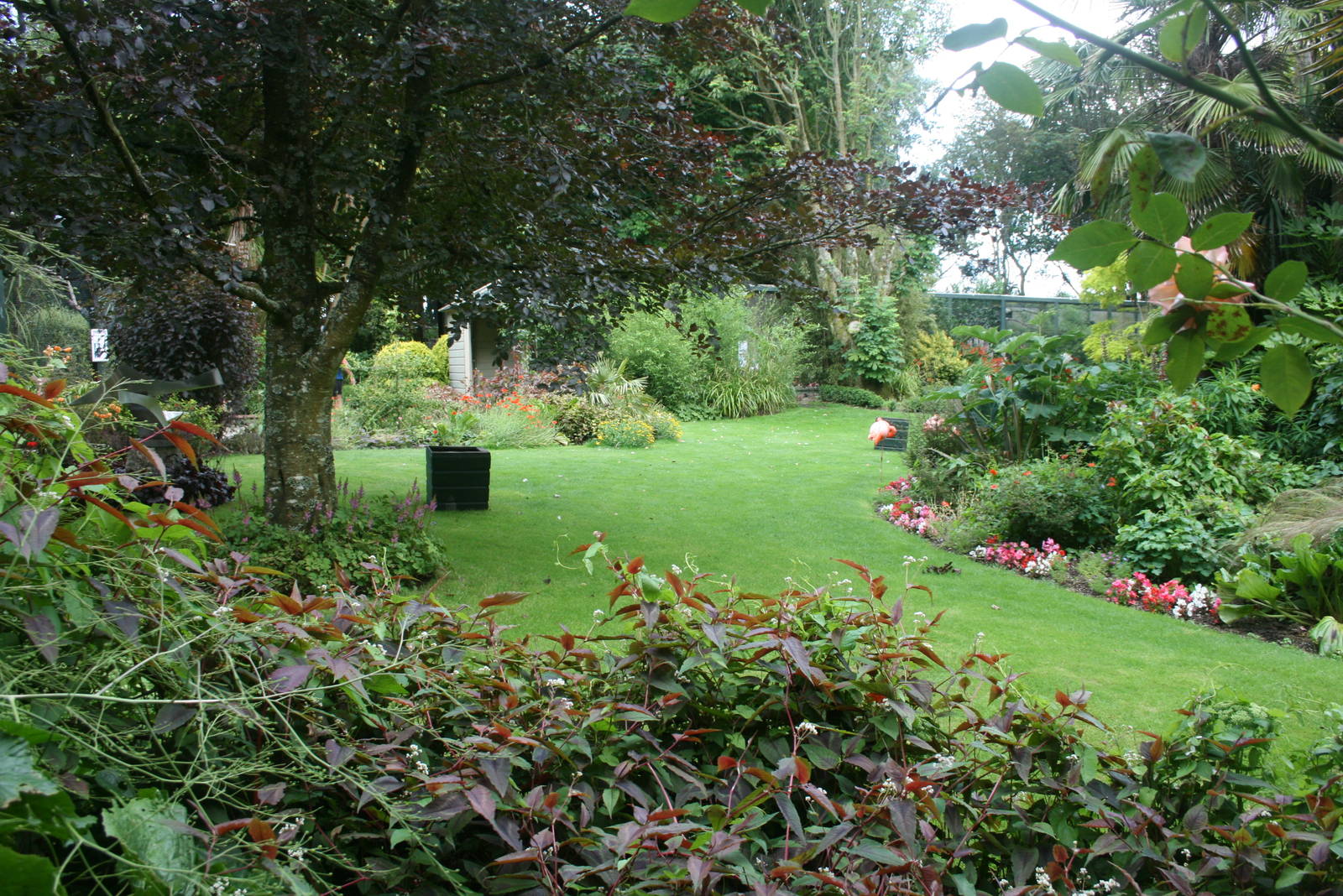 Flamingo Enclosure 1