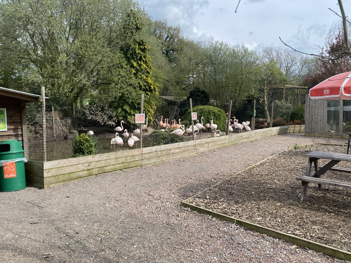Flamingo enclosure 190422