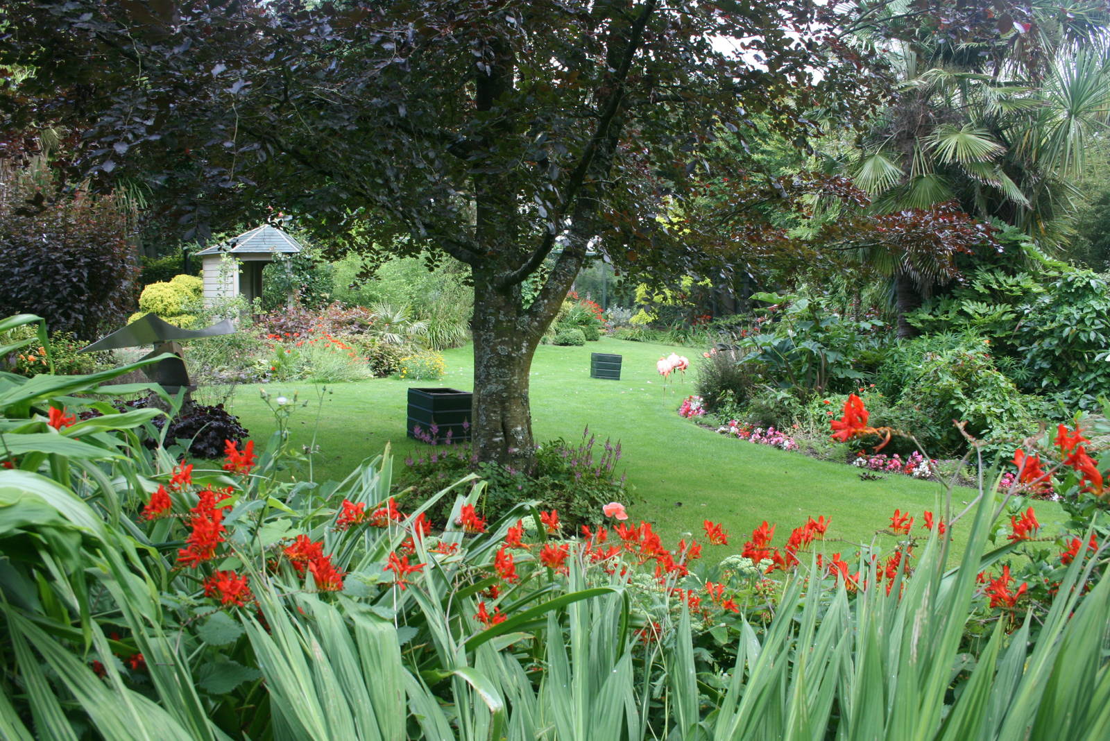 Flamingo Enclosure 2