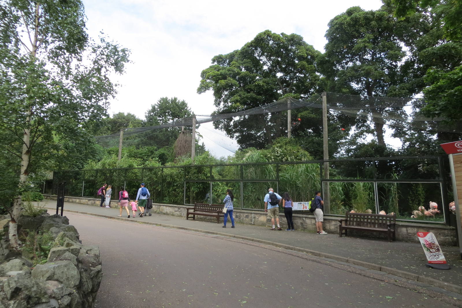 Flamingo enclosure 240815