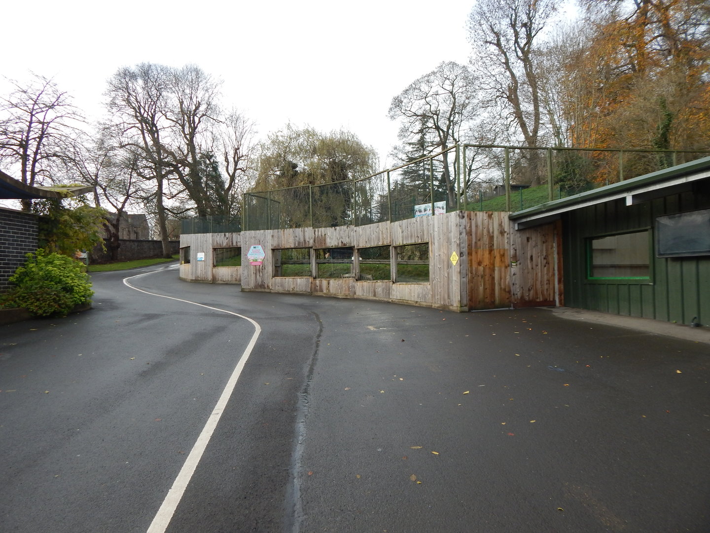Flamingo enclosure 241122