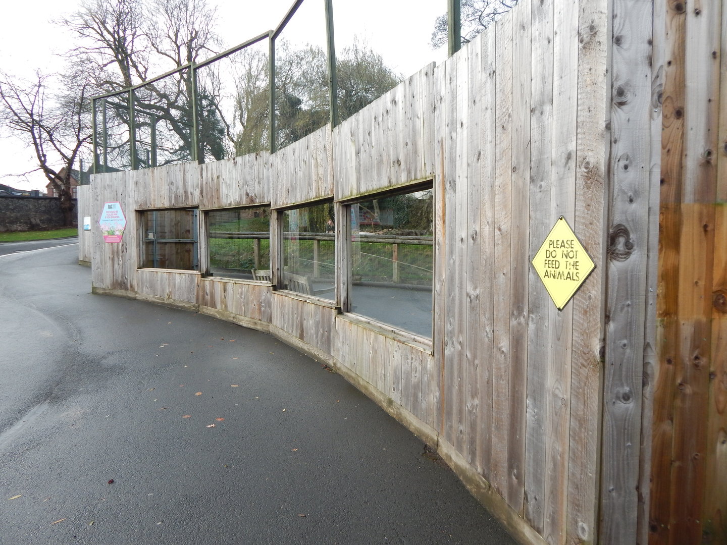 Flamingo enclosure 241122