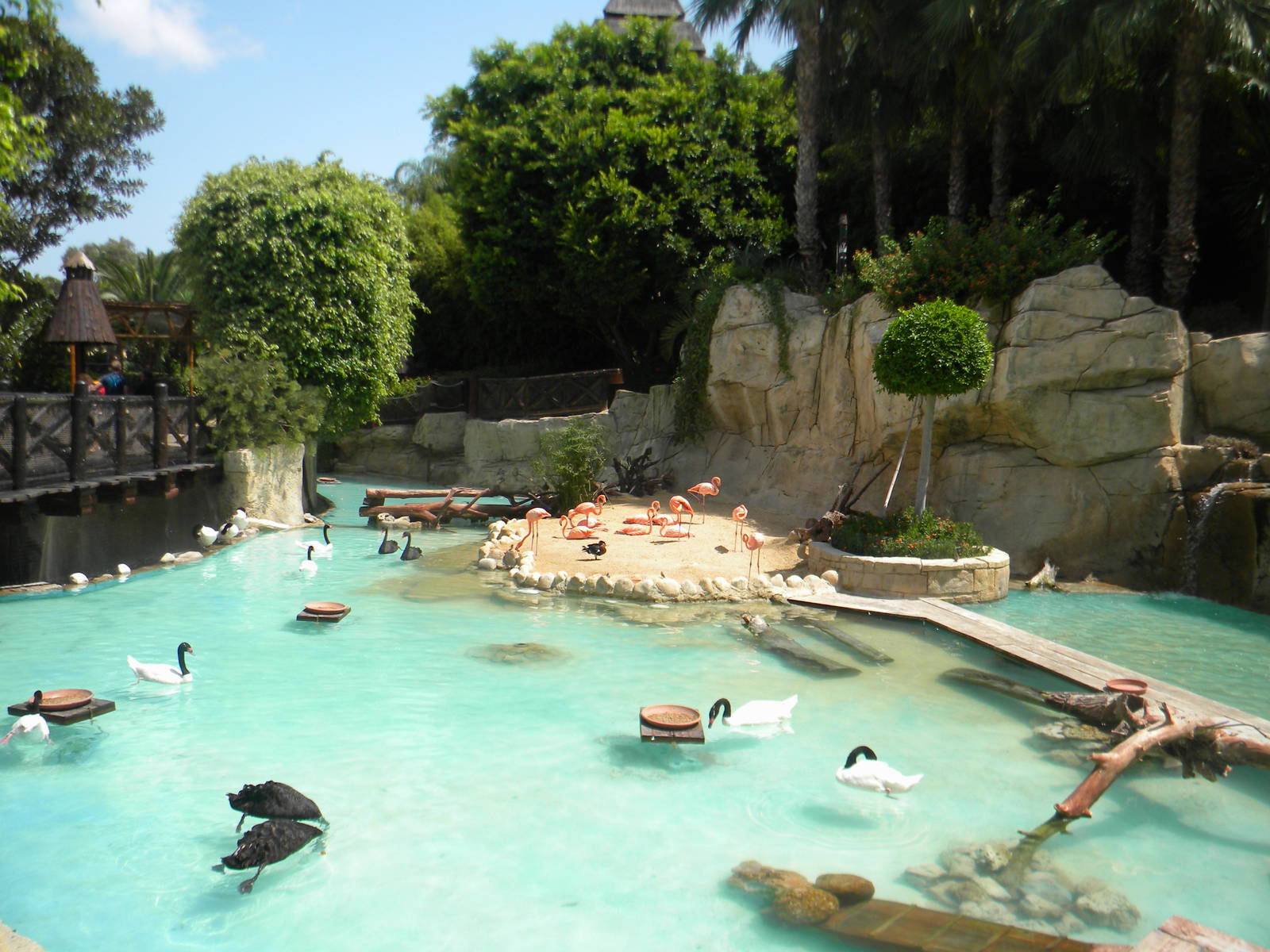 Flamingo enclosure at Mundo Mar 01/08/11