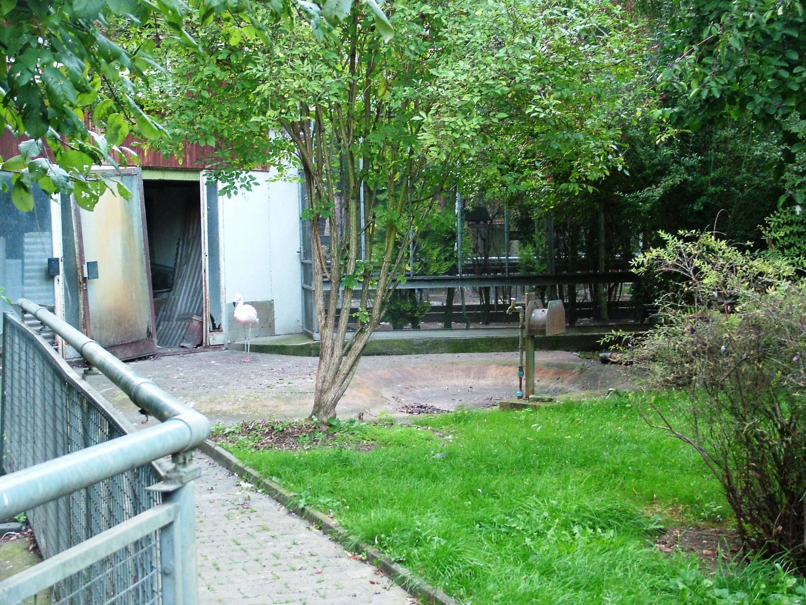 Flamingo Enclosure at Vogelpark Biebesheim, 05/09/2010