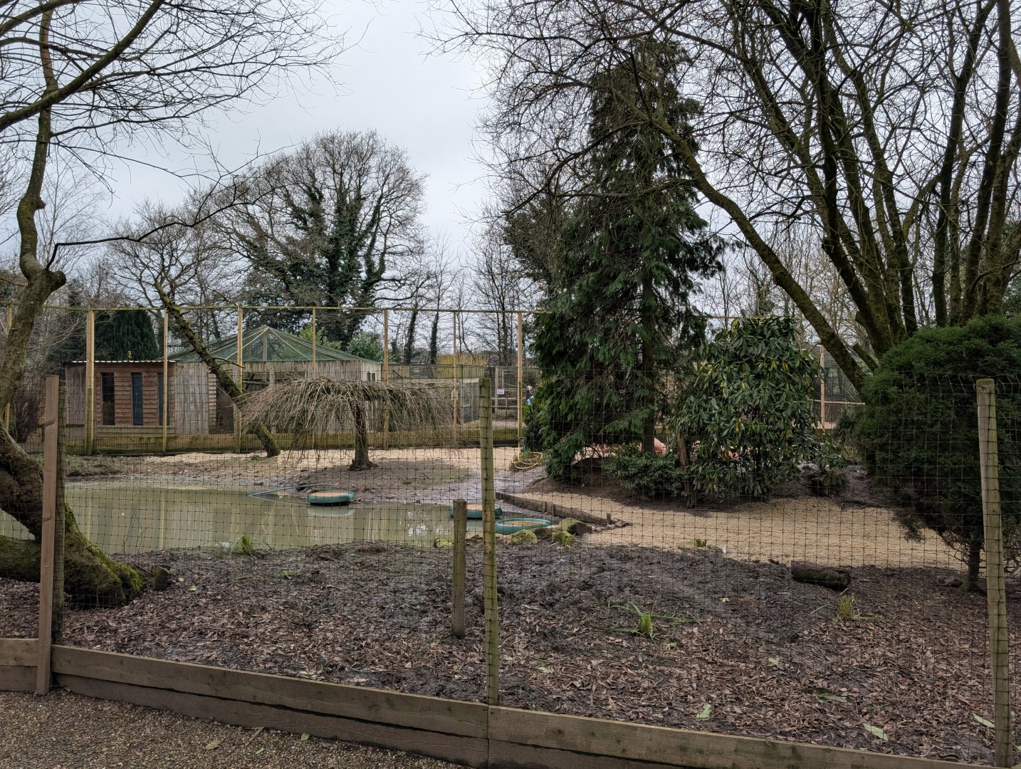 Flamingo Enclosure, Axe Valley Wildlife Park