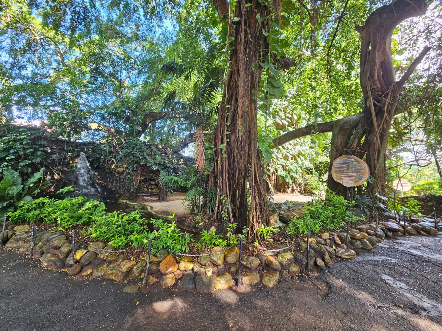 Flamingo enclosure closeup