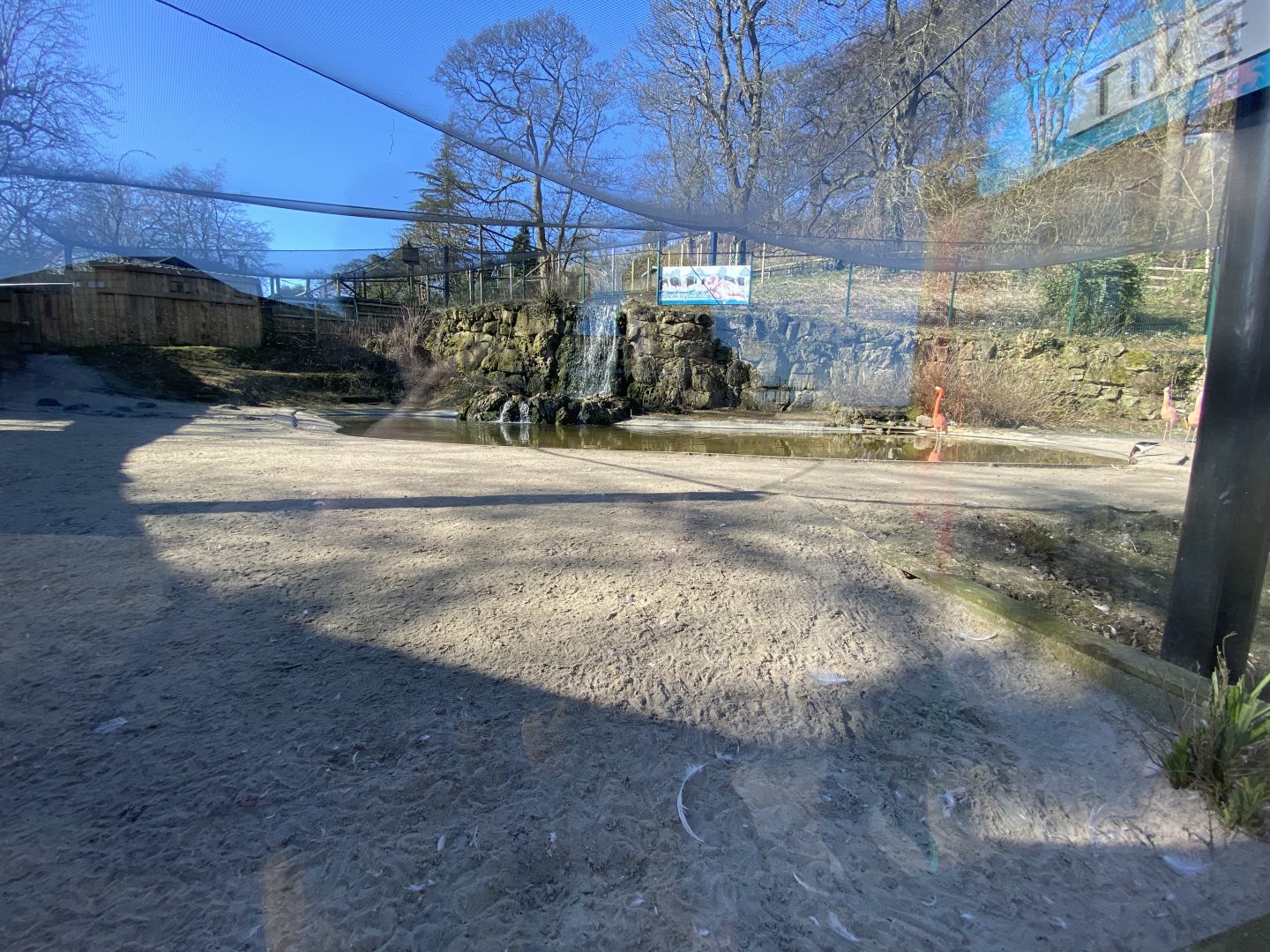 Flamingo enclosure view 1