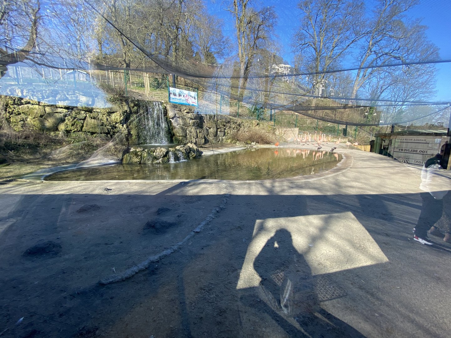 Flamingo enclosure view 2