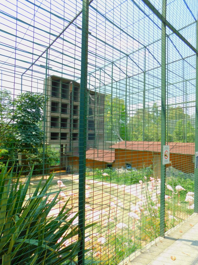 Flamingo enclosure