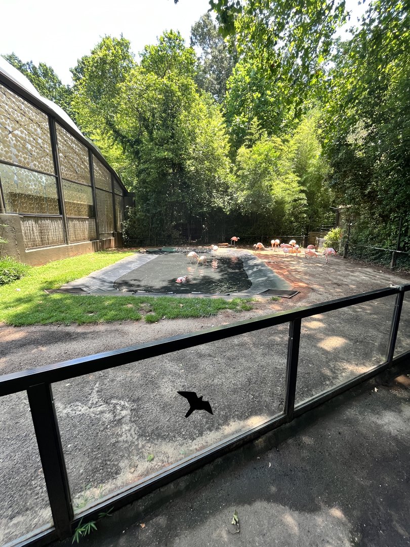 Flamingo Enclosure