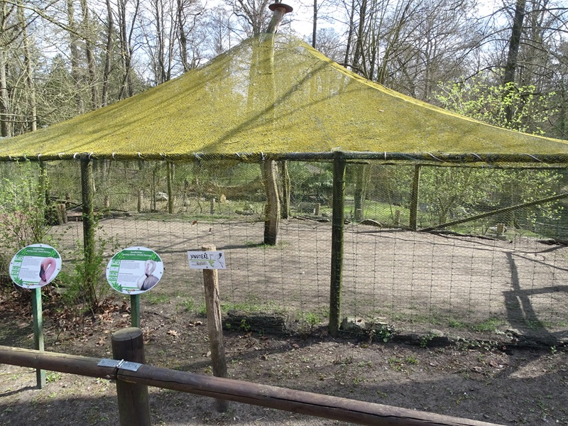 Flamingo enclosure