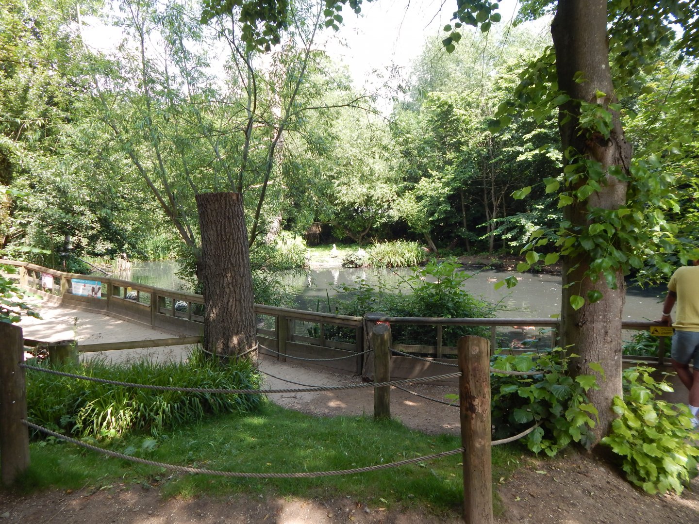 Flamingo exhibit 020721