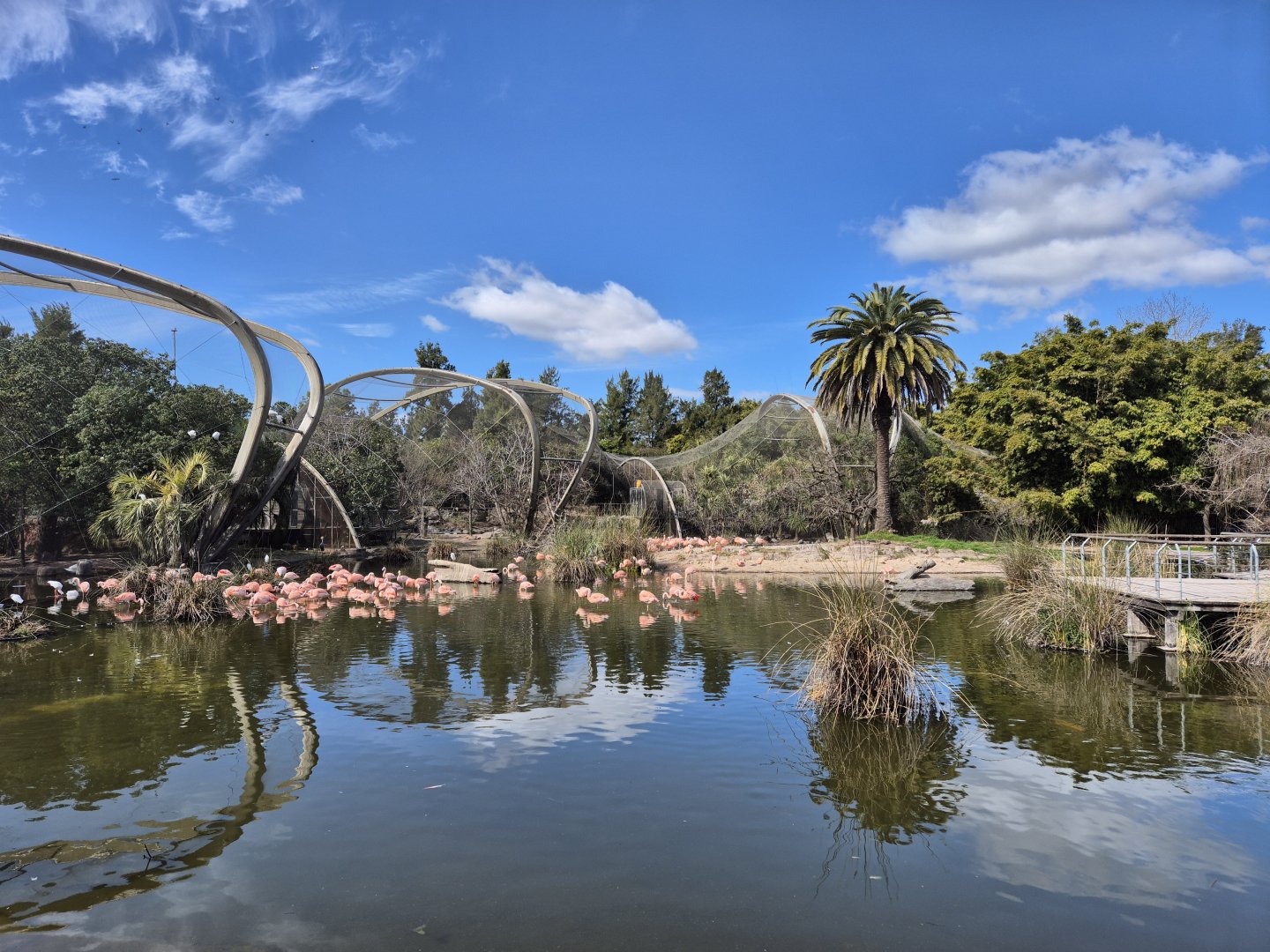 Flamingo exhibit and Connected walkthrough aviaries