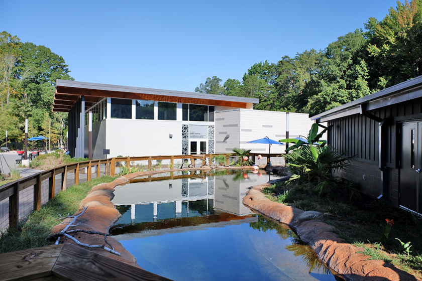 flamingo exhibit and veterinary center