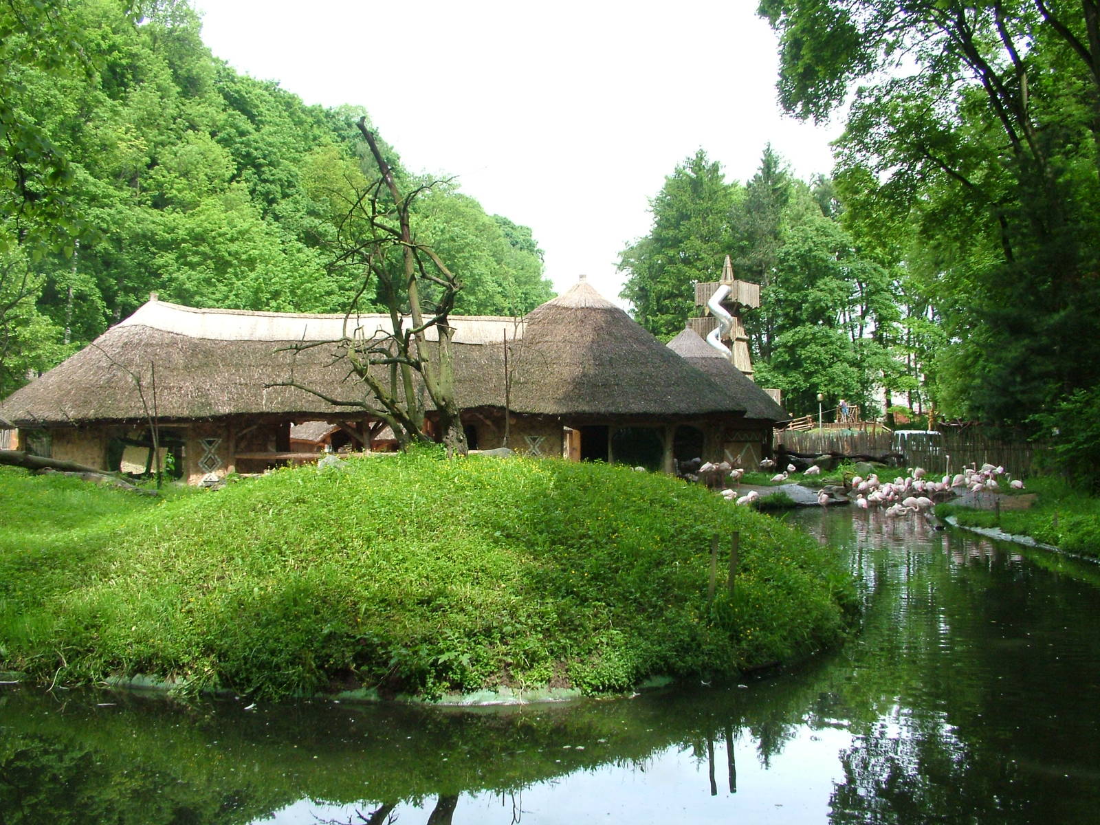 Flamingo exhibit at Jihlava, 31/05/10