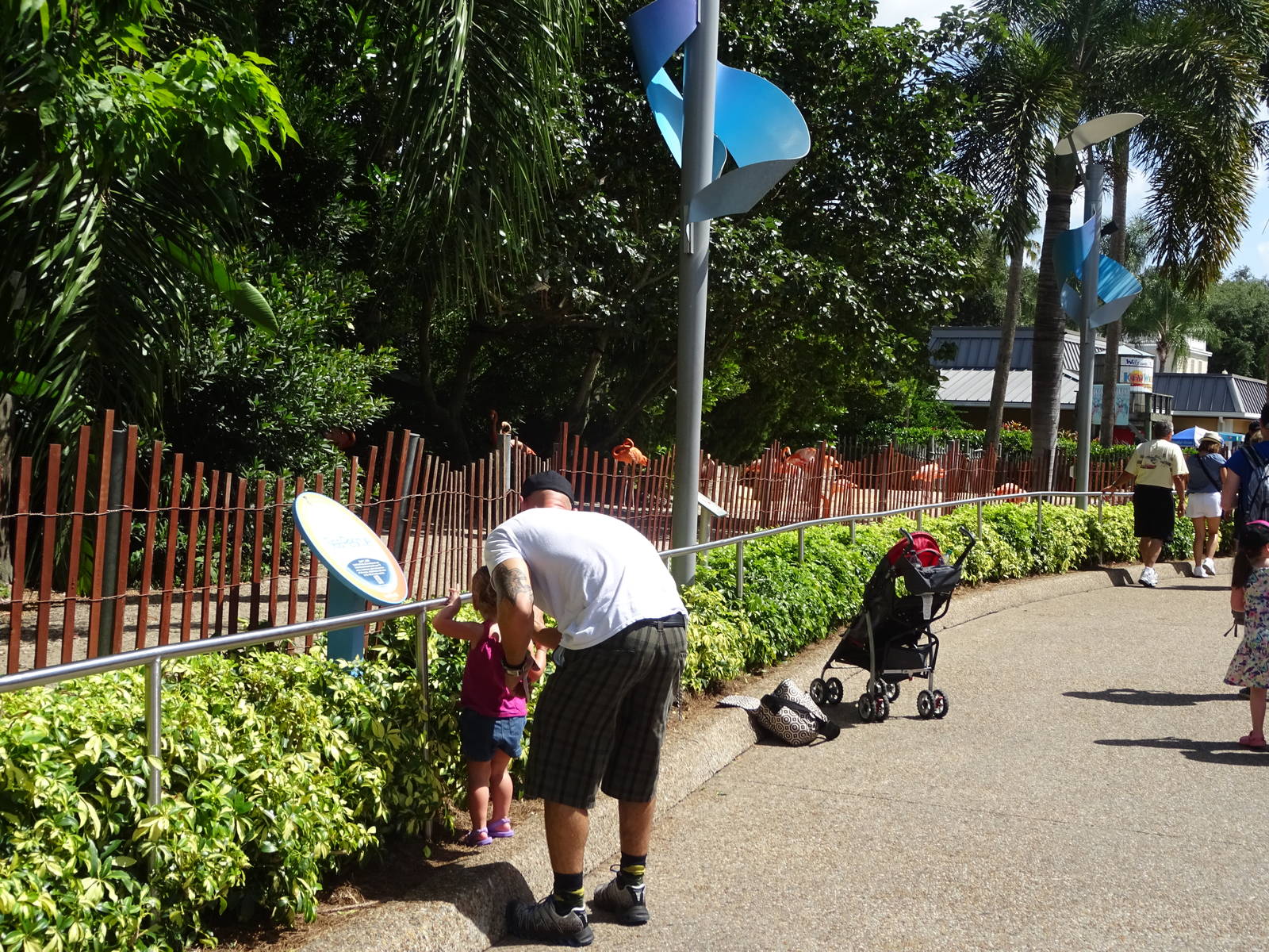 Flamingo Exhibit at SeaWorld Orlando