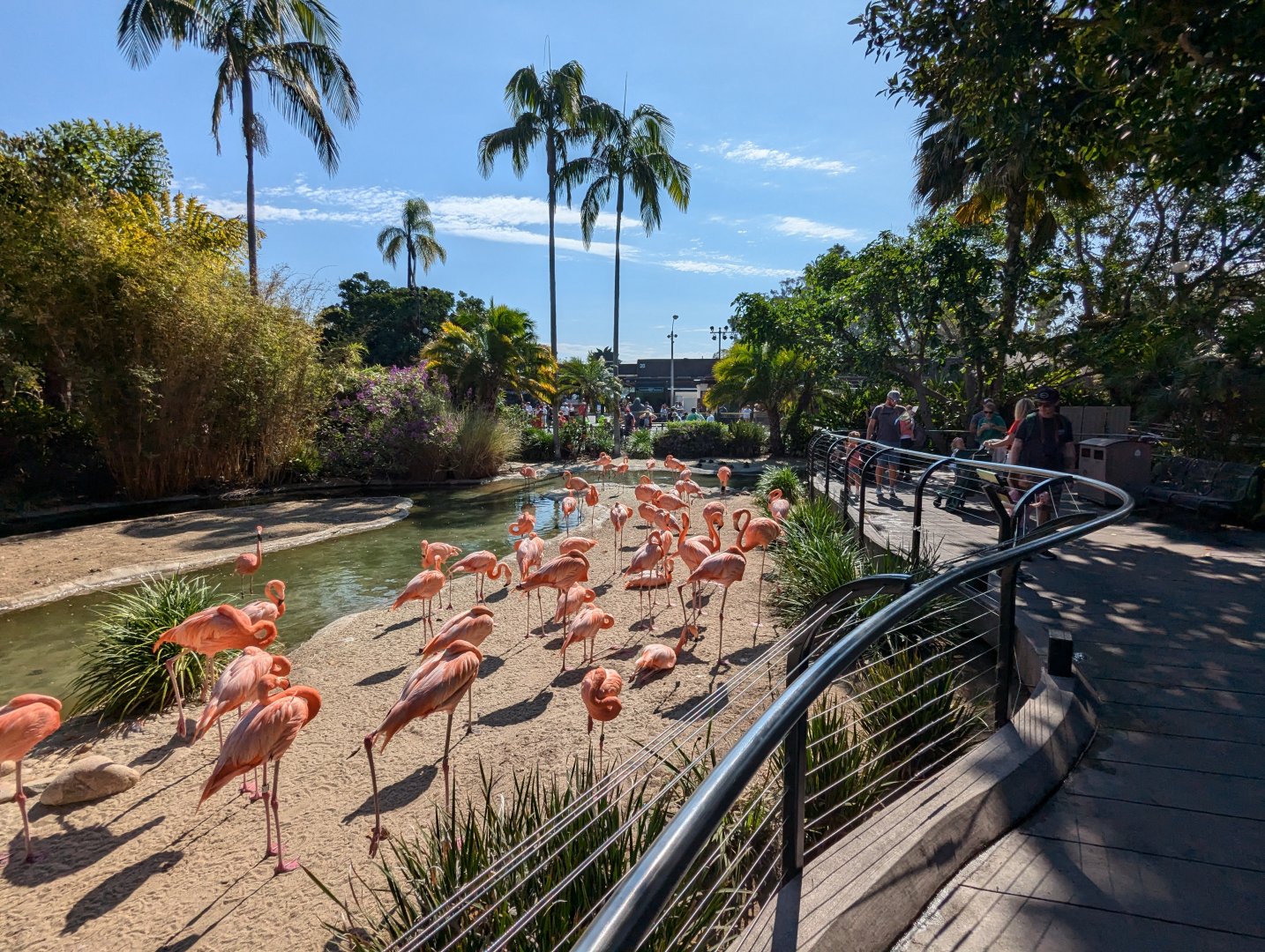 Flamingo Exhibit Looking back to Entrance