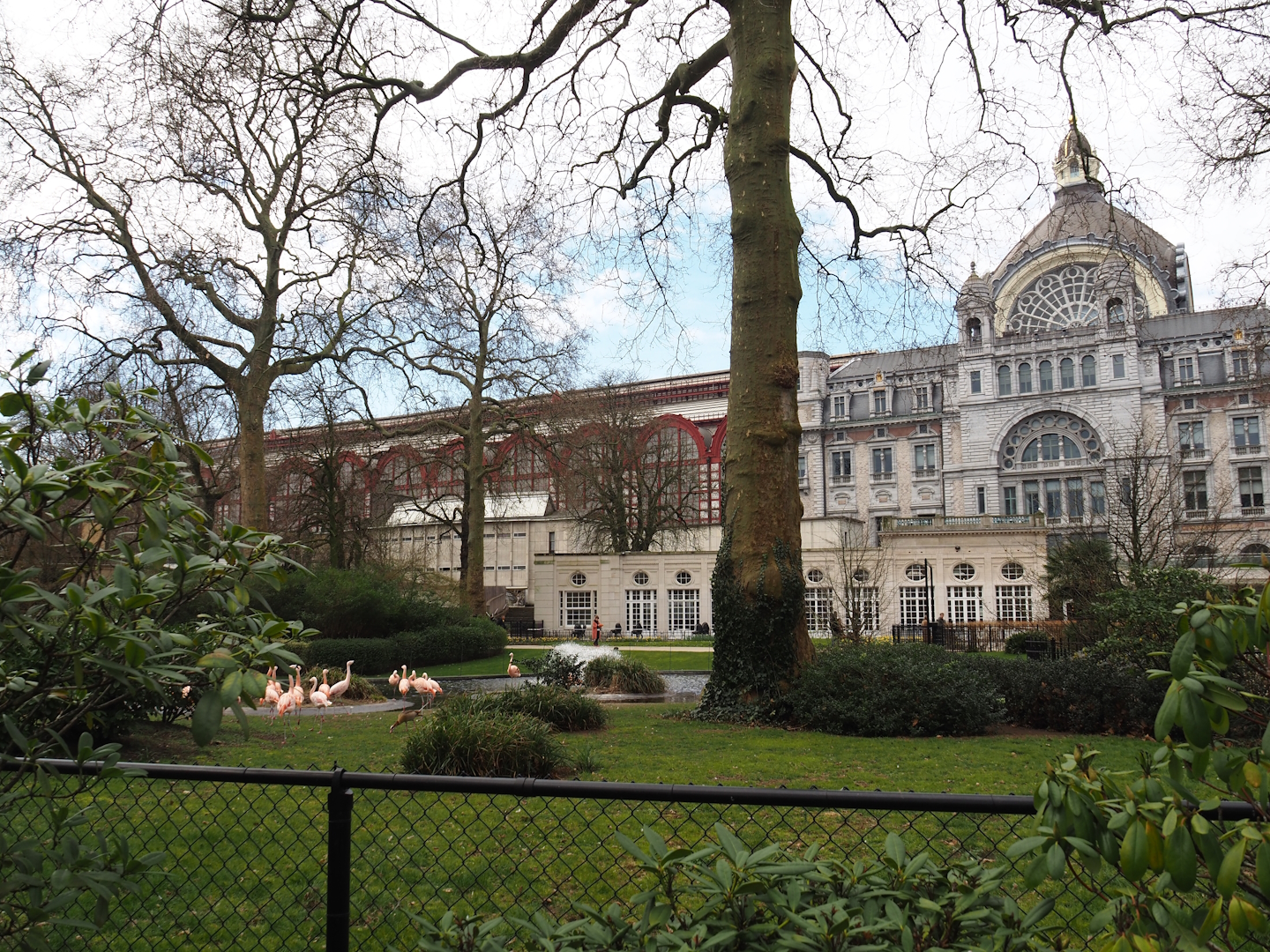 Flamingo exhibit, now with Chilean flamingos, 2024-03-09
