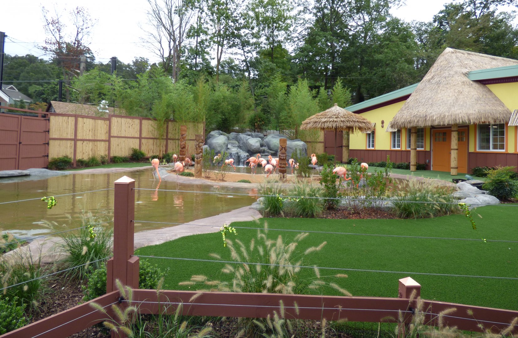 Flamingo Exhibit - Sept. 2018