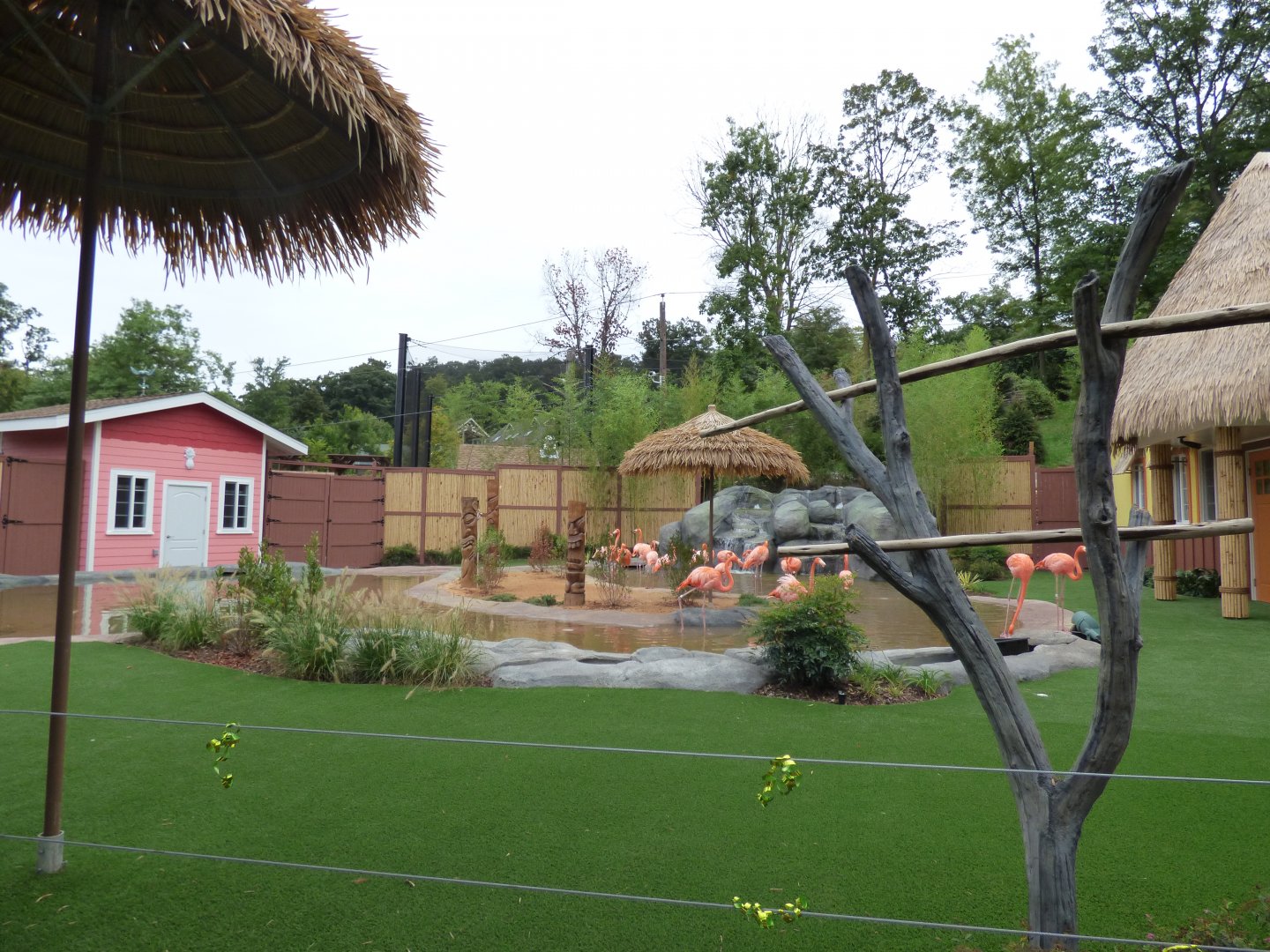 Flamingo Exhibit - Sept. 2018