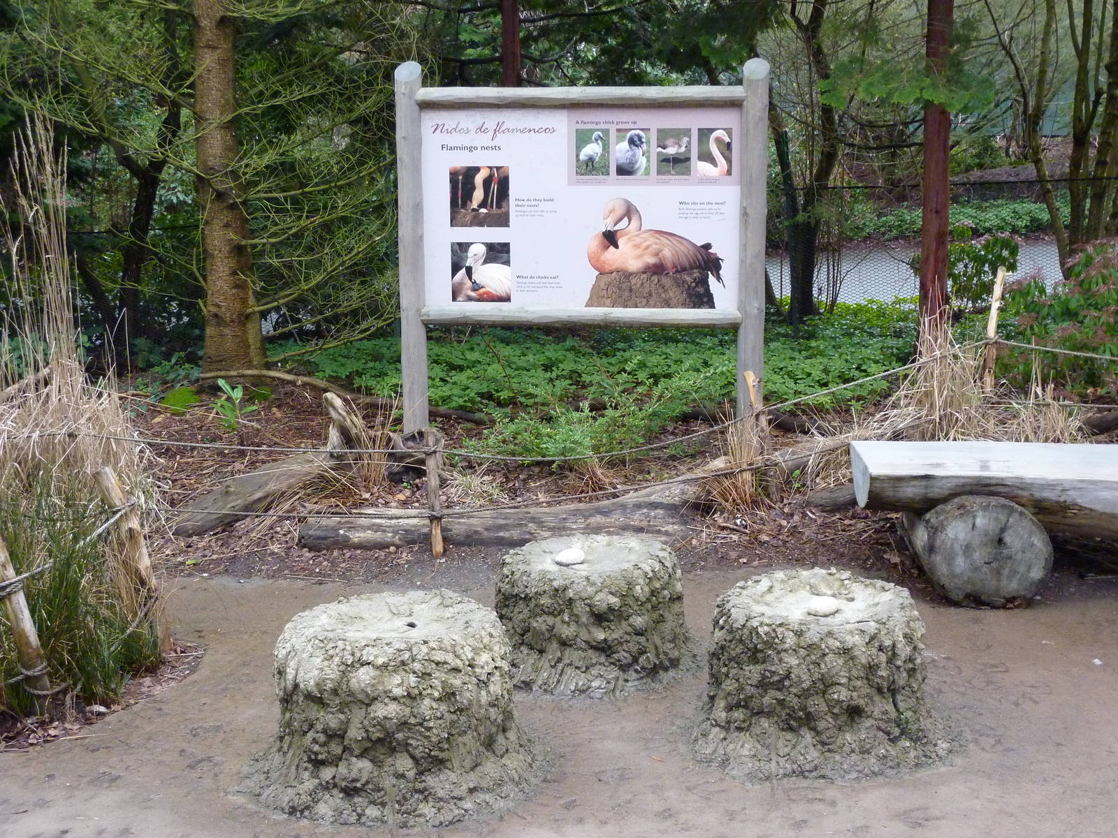 Flamingo Exhibit - Signage + Replica Nests