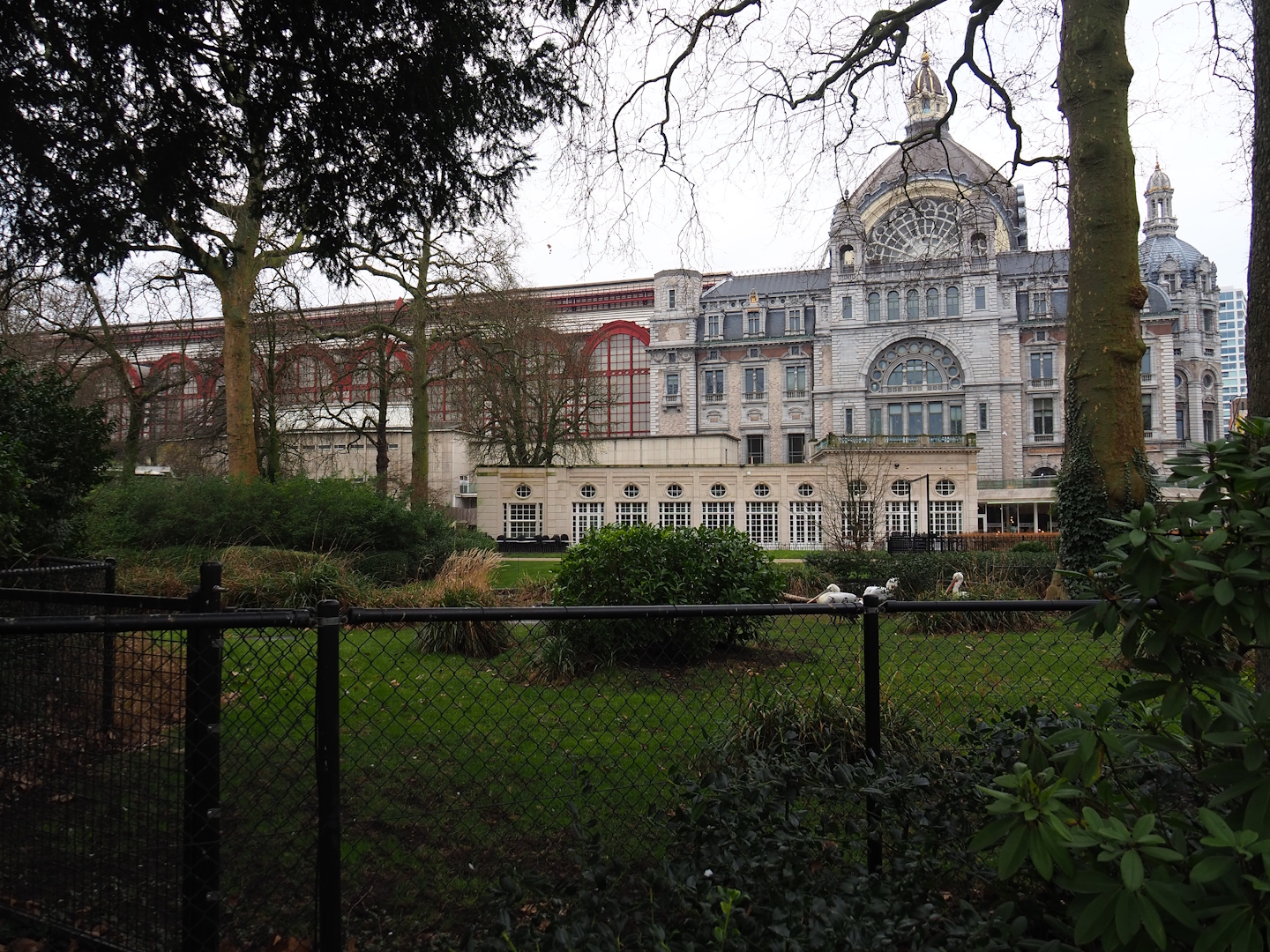Flamingo exhibit (temporarily with Dalmatian pelicans at the time), Grand Café Flamingo and Antwerp Central Station, 2024-02-17